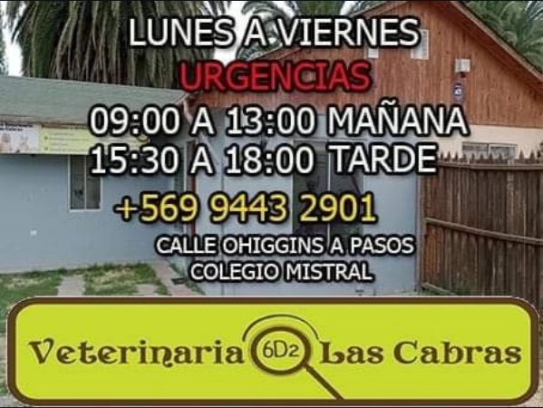 Fachada de la clínica en calle O'Higgins: casa celeste con revestimiento de madera y su aviso de horario