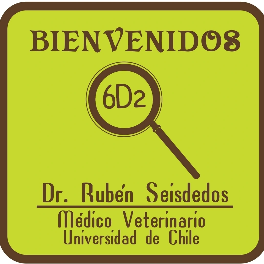 Letrero oficial: Bienvenidos, 6D2, Dr. Rubén Seisdedos, Médico Veterinario, Universidad de Chile